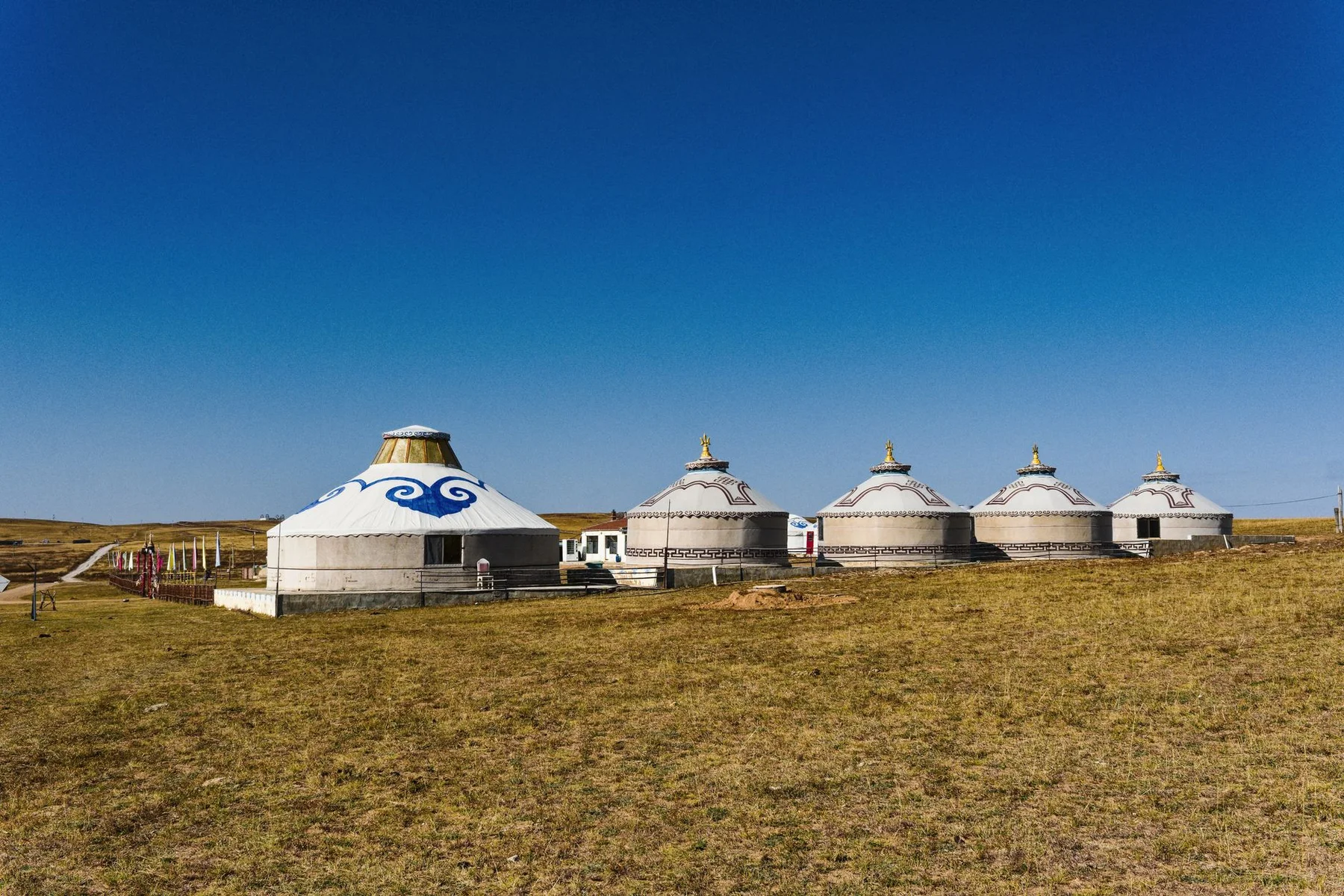 Grassland wild luxury camp